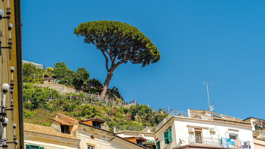 Albergo Hotel S. Lucia