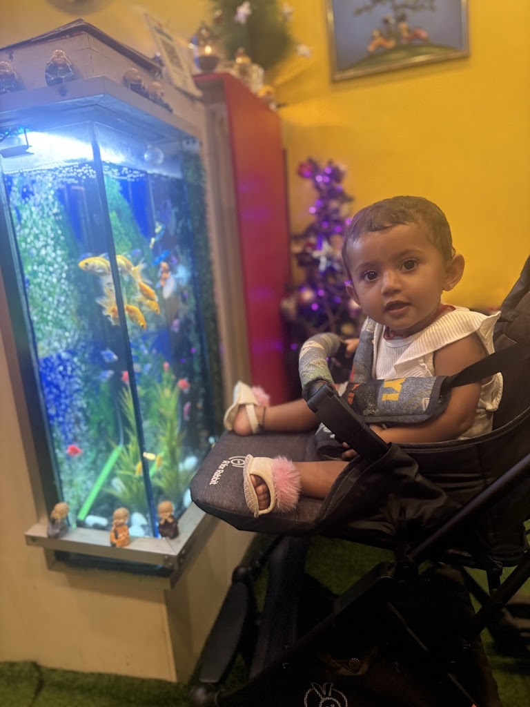 Get Pampered Wellness Spa