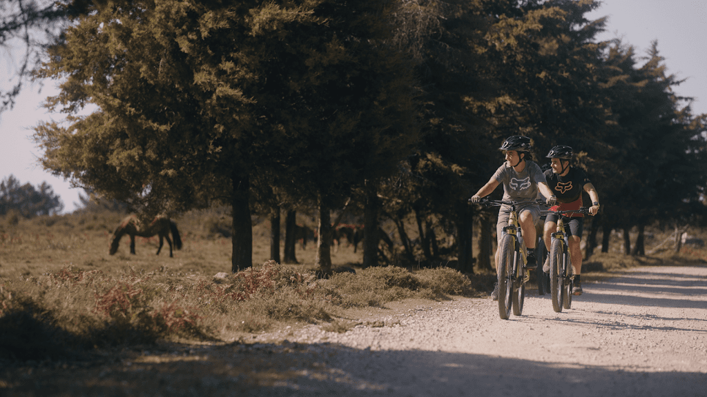 Serviço de Aluguer de Bicicletas em Viana-Do-Castelo