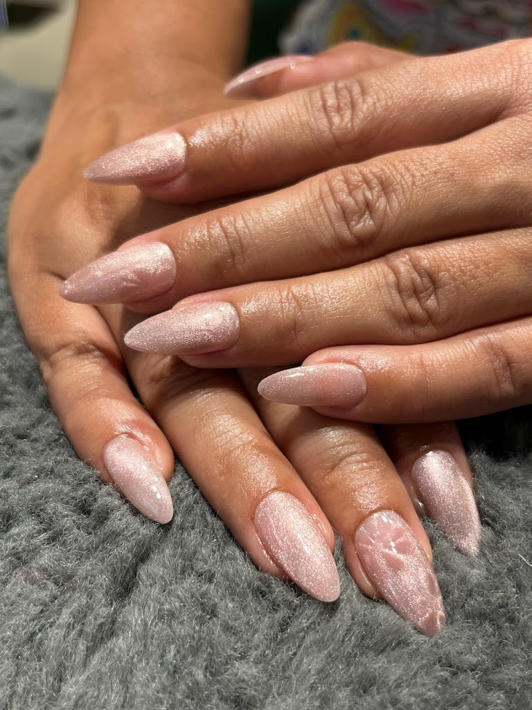 Neel David S Saloon Dehradun