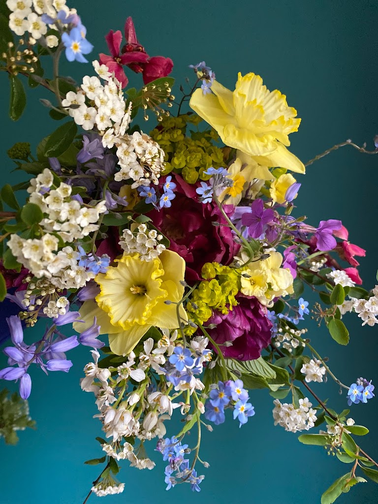 Mrs Mosley's Posies