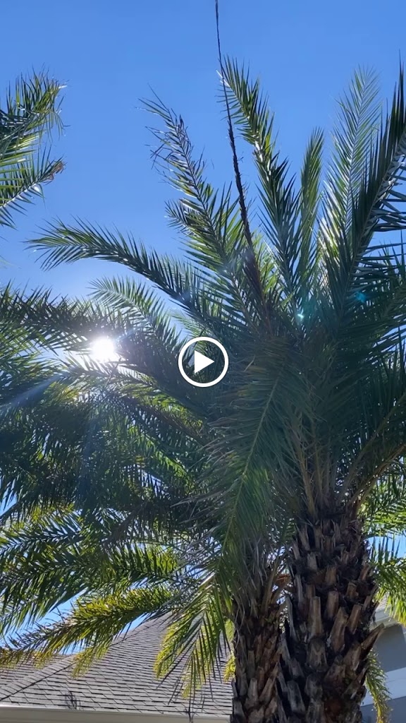 Videos