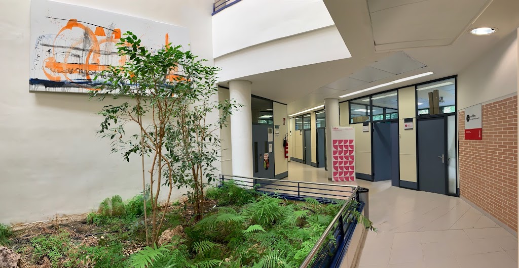 CEFIRE Especifico de Ambito Artistico-Expresion