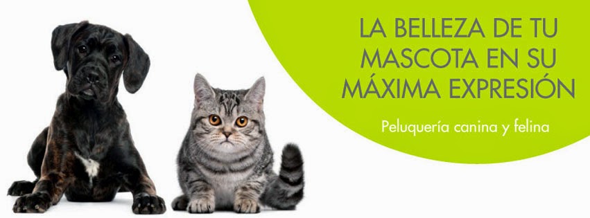 Clinica Veterinaria Baix Penedes