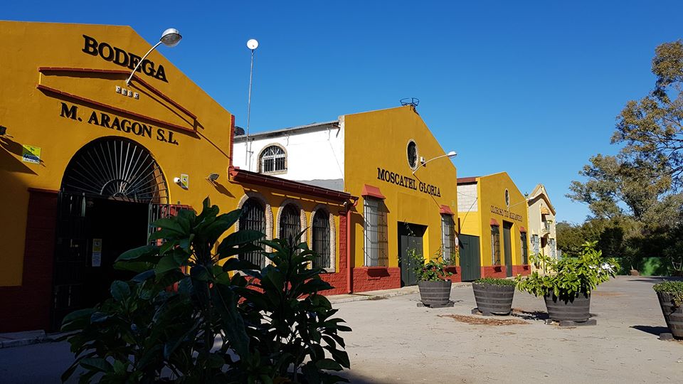 Bodega Manuel Aragon S.L.