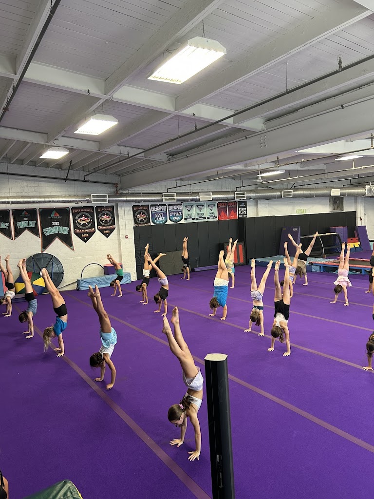  Express Dance & Acrobatics