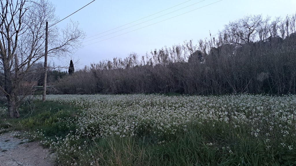 Riera de Poniente