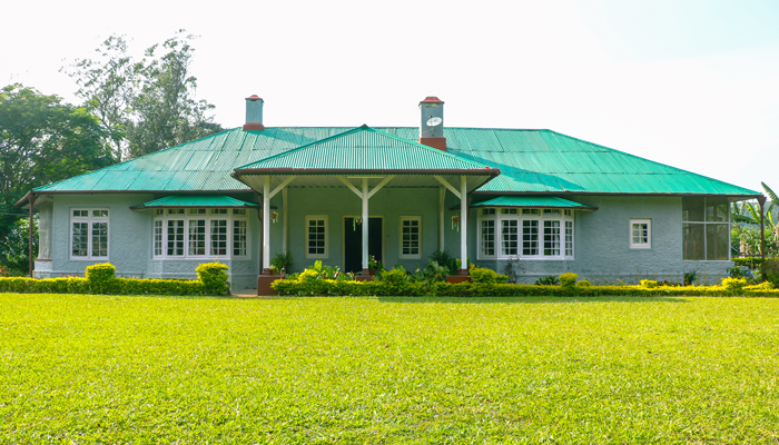 The Soul Bungalow
