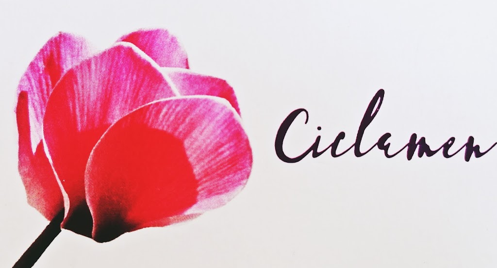 Centro de Estetica Ciclamen | Salud, belleza y bienestar