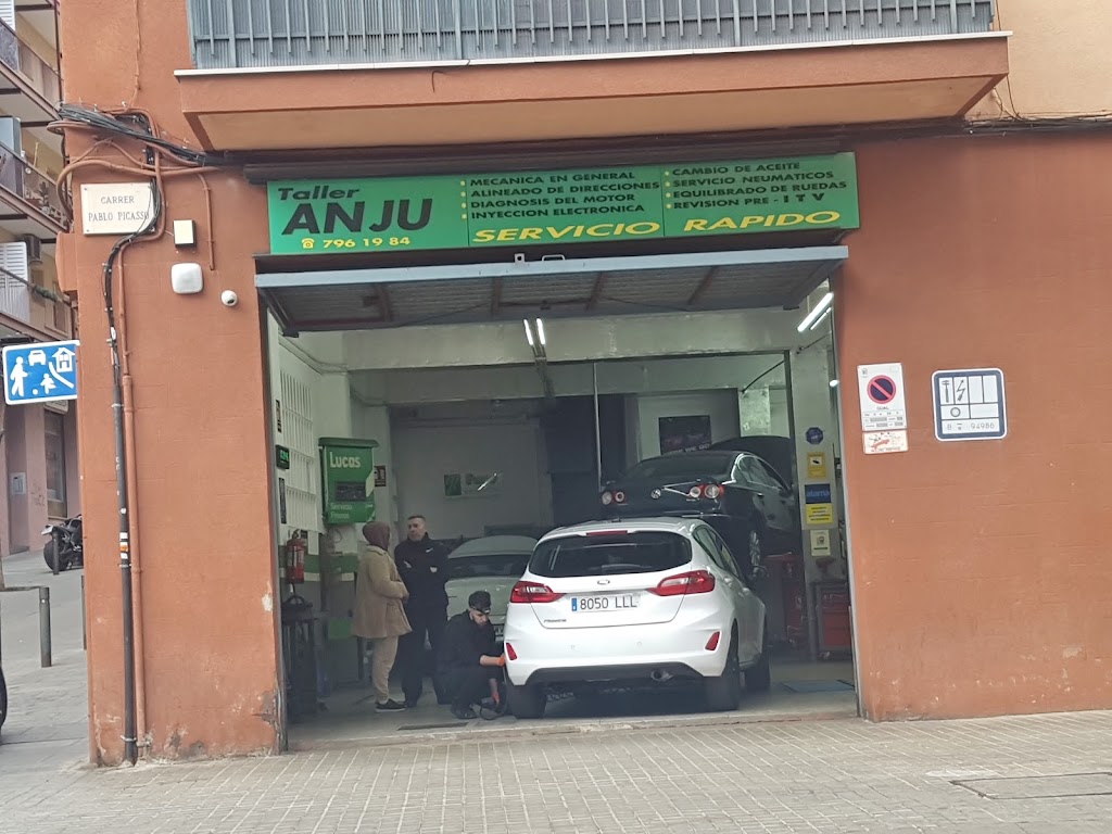 TALLER ANJU — Mas recientes