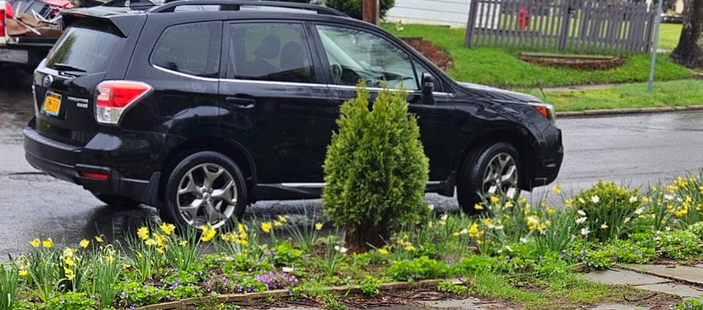 Subaru Service in Schenectady