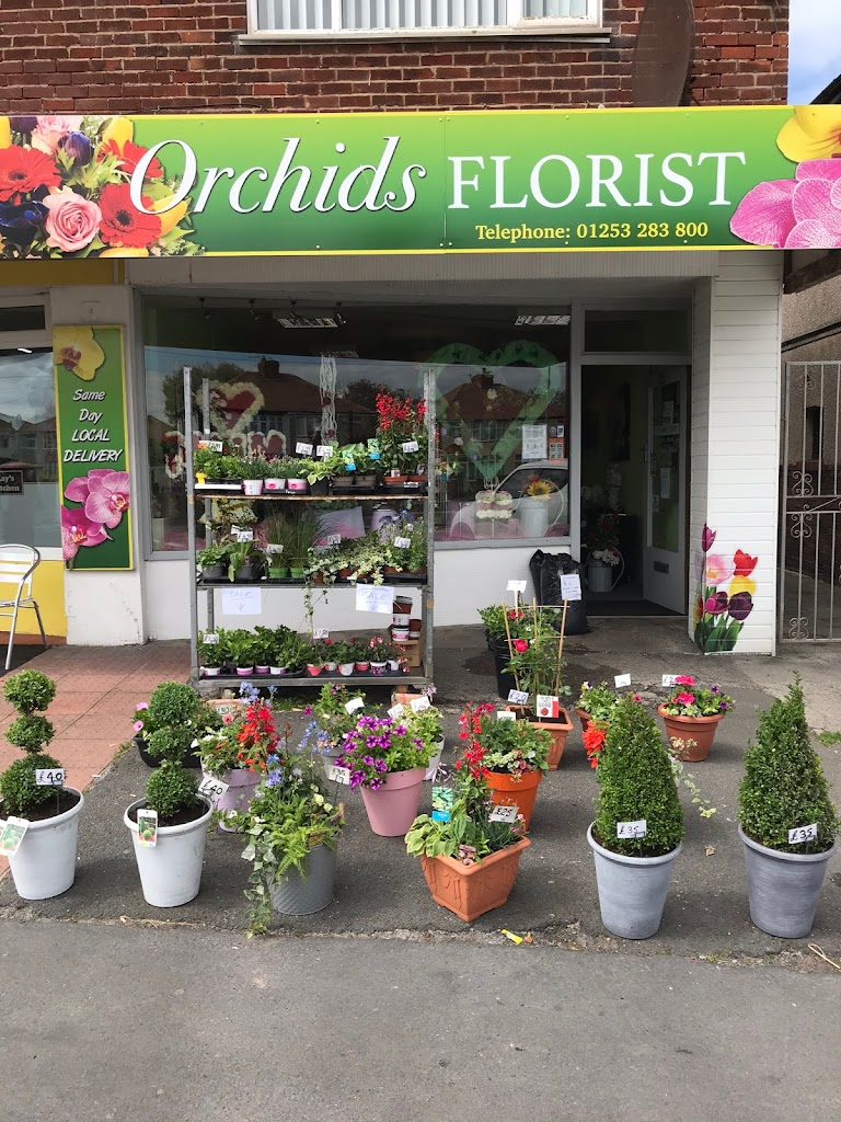 Orchids Florist - Cleveleys