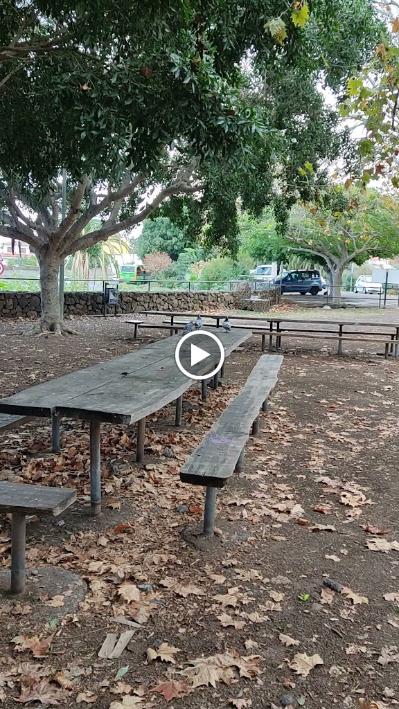 Cantina-Terraza La Higuerita