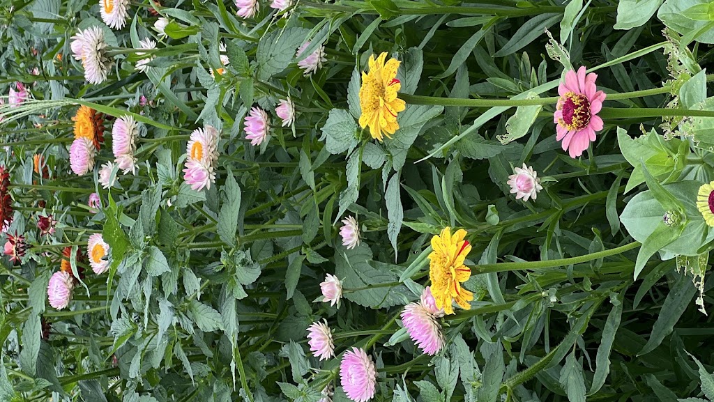  Yoga In The Adirondacks