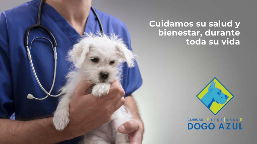 Clinica Veterinaria Dogo Azul Marbella