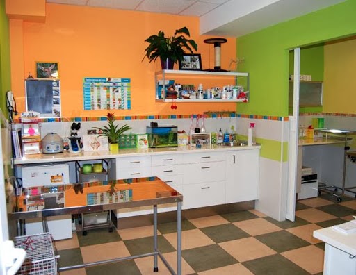 Clinica Veterinaria La Campina