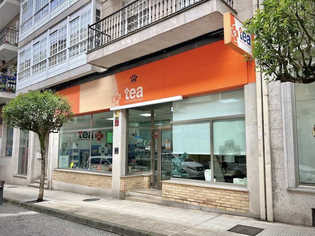 Clinica Veterinaria Tea Ponteareas