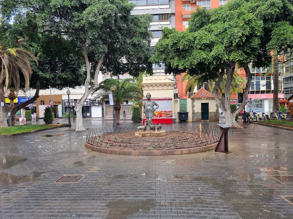 Gran Terraza Lolita Pluma — Mas recientes