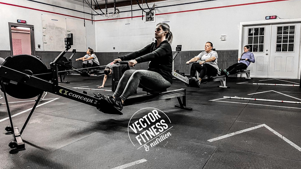  Vector Fitness & Nutrition