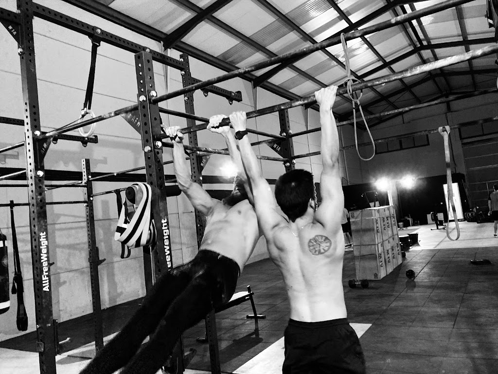 Neor Box Puente Genil