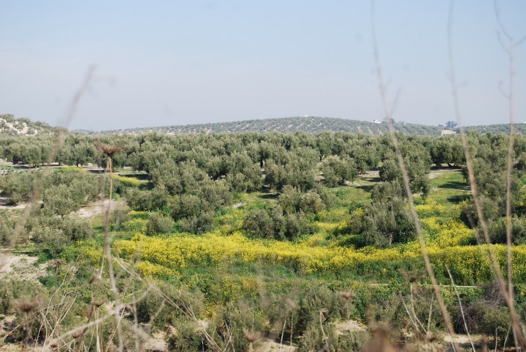 Zona de Descanso " Via Verde "