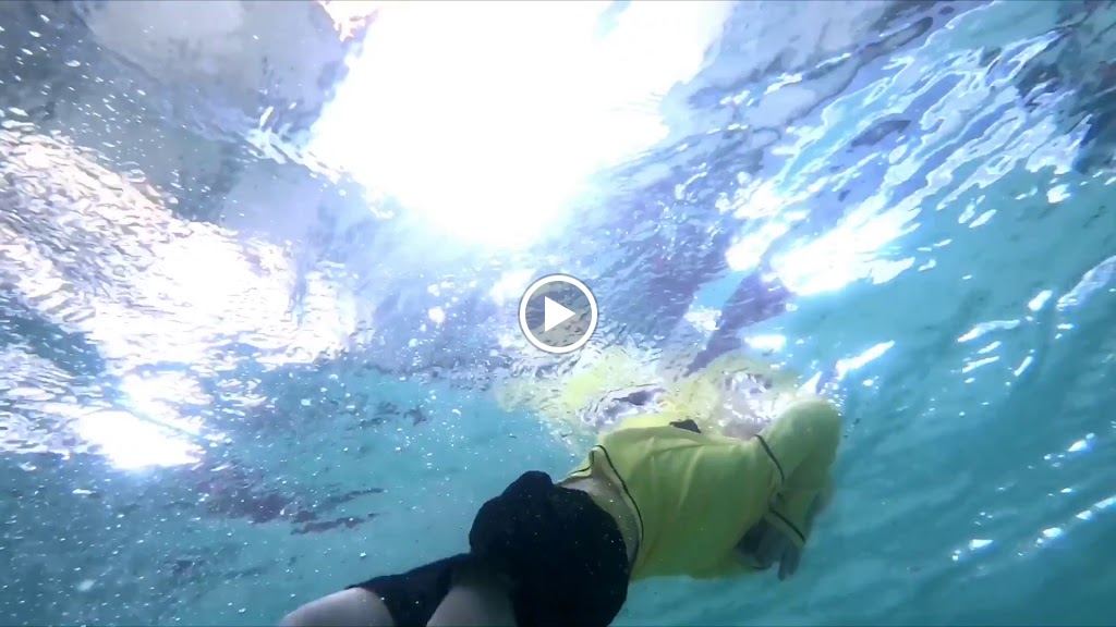  Houston Swim Club Sugar Land