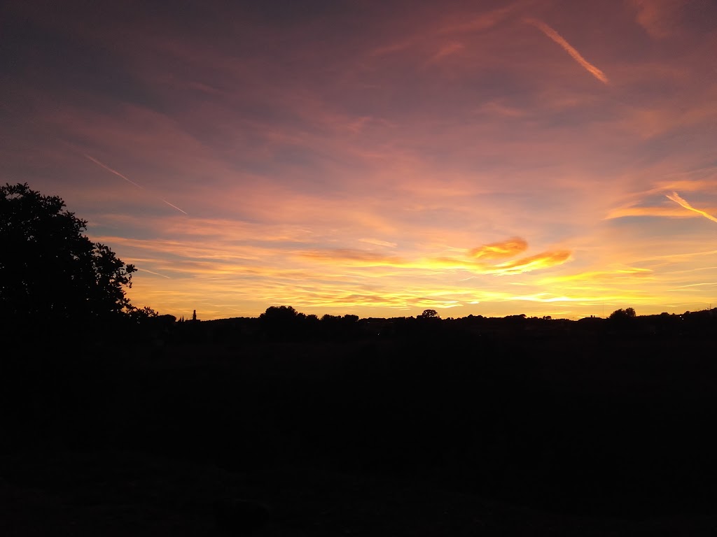 La Nau de Pere Vall I Soler