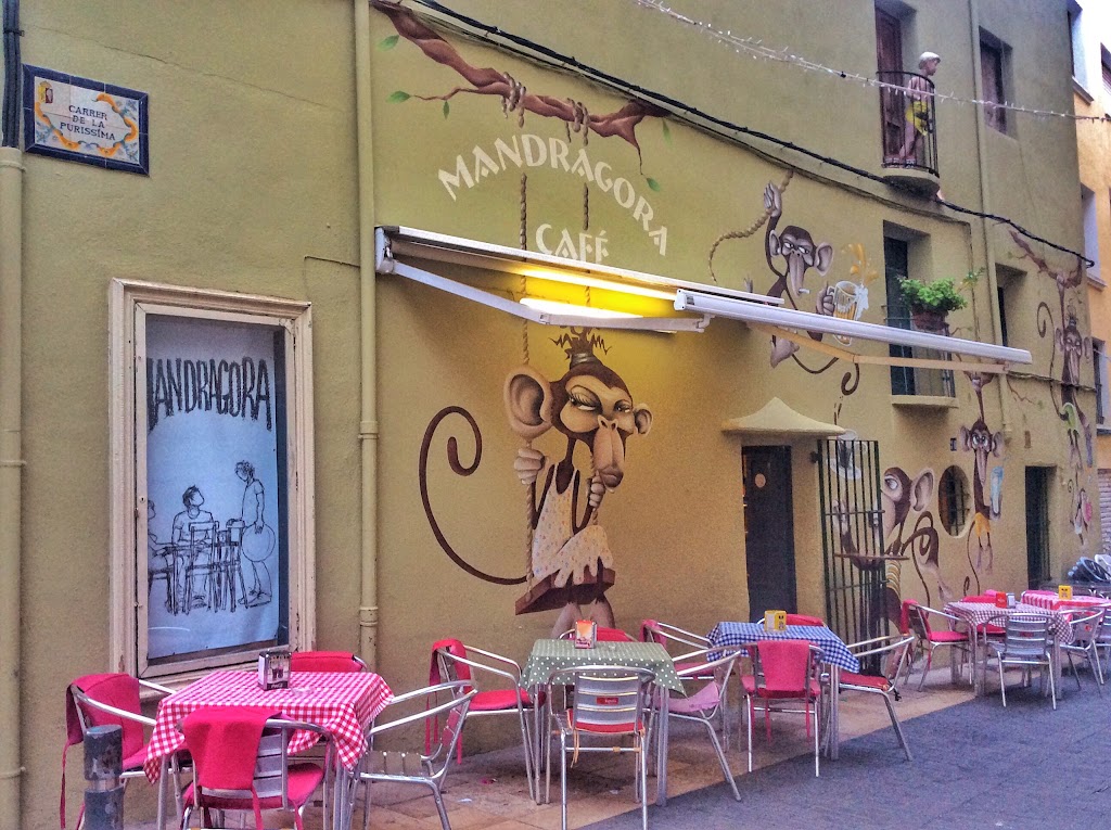 Cafeteria Mandragora — Ambiente