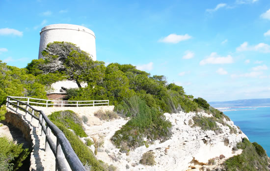 FACTORYROOMS Barbate