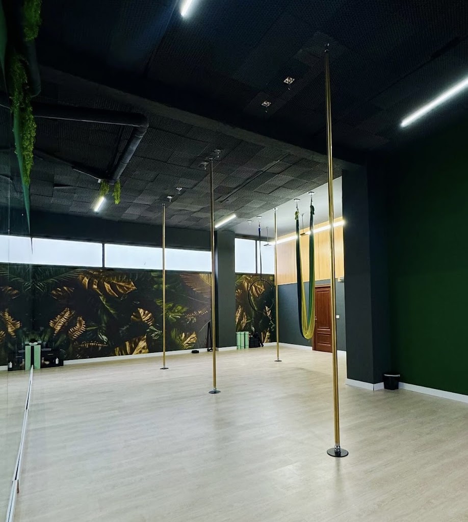 Be Wild Studio — Del propietario