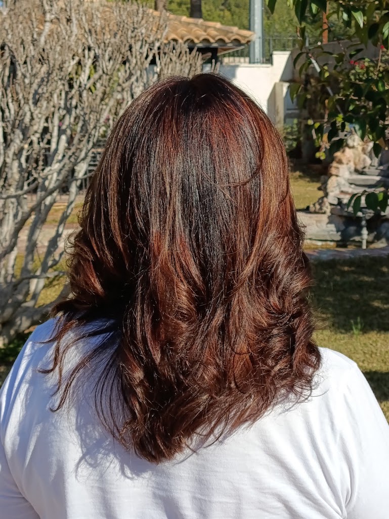 Pilar Ferrer Peluqueria y Estetica Moncada — Mas recientes