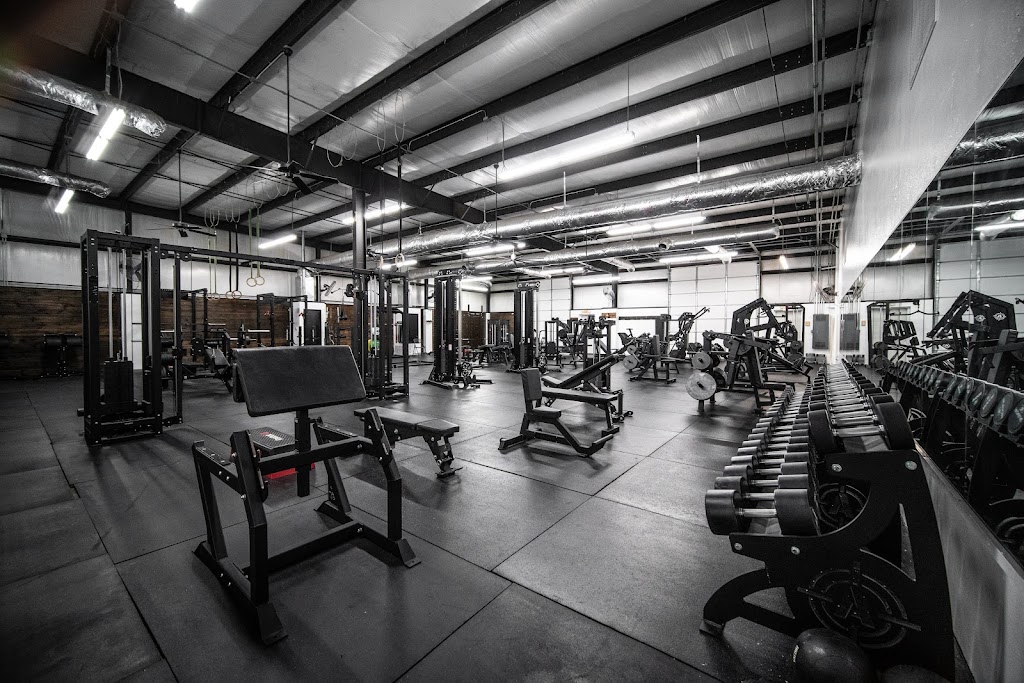  IRON Muscle & Fitness