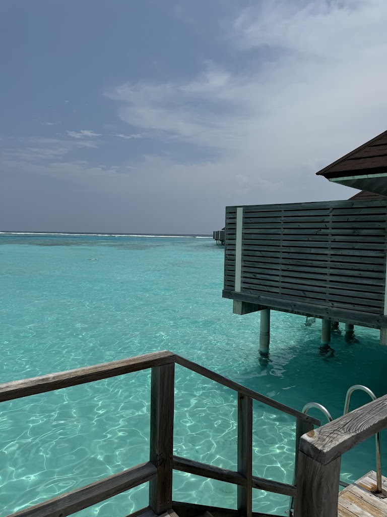 PLANEA Viajes - Oficina de Mula