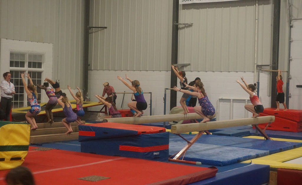  United Gymnastics Academy