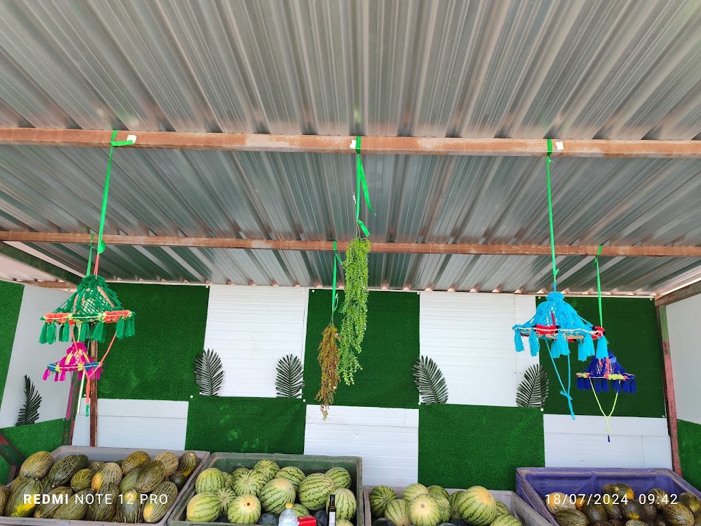 Venta sandia y melones de castilla la mancha — Del propietario