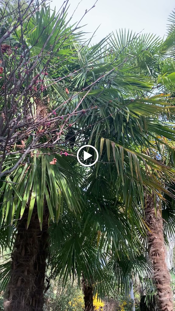 Escuela Montessori Madrid — Videos