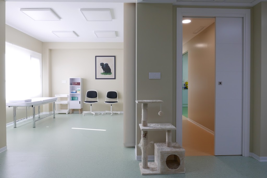 Clinica Veterinaria Dra. M Carmen Garcia — Del propietario