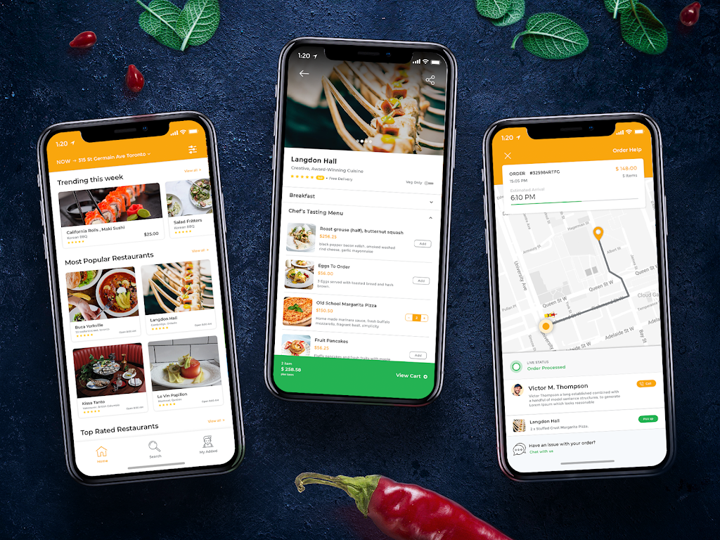 Iqlance Solutions Mobile App Development California