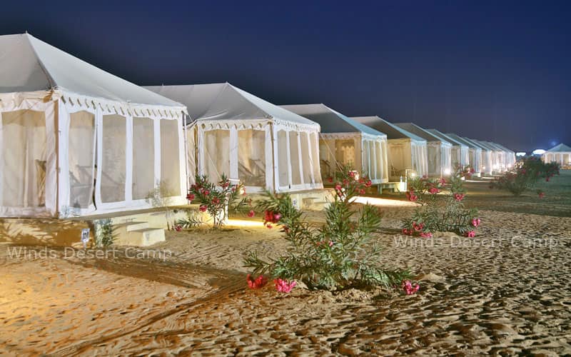 The Golden Rose Heritage Desert Safari Camp Jaisalmer