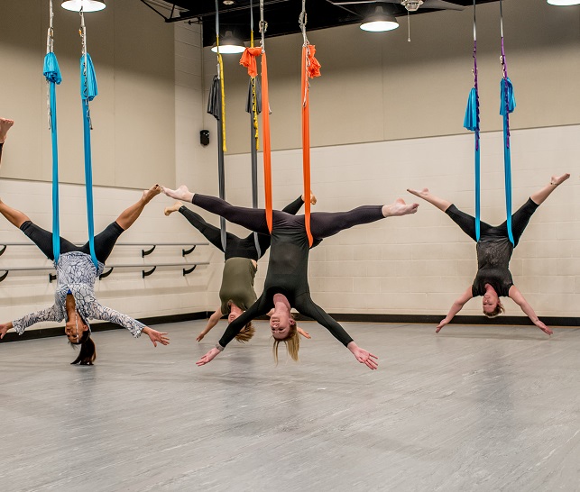  Local Motion Project