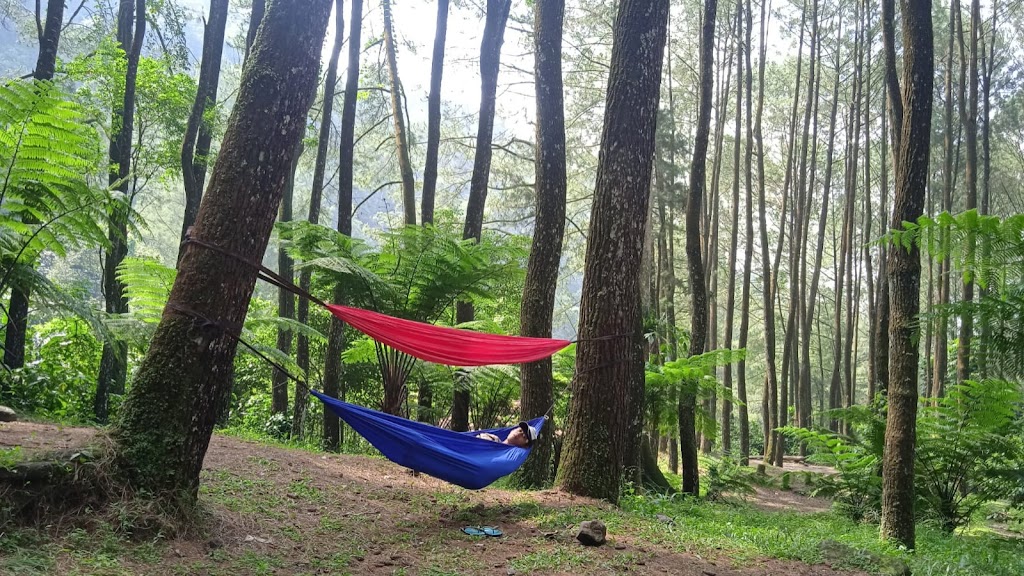 Bumi Perkemahan Suaka Elang