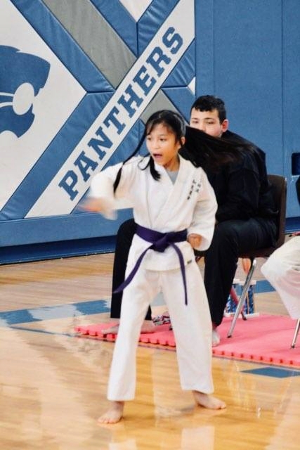  Karate Shorin-Ryu Westwood