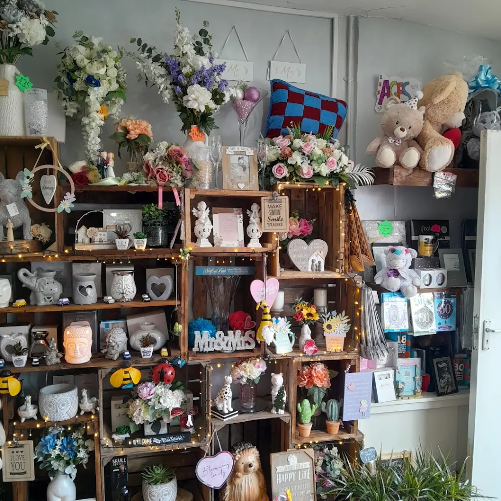 Blooming rose florist