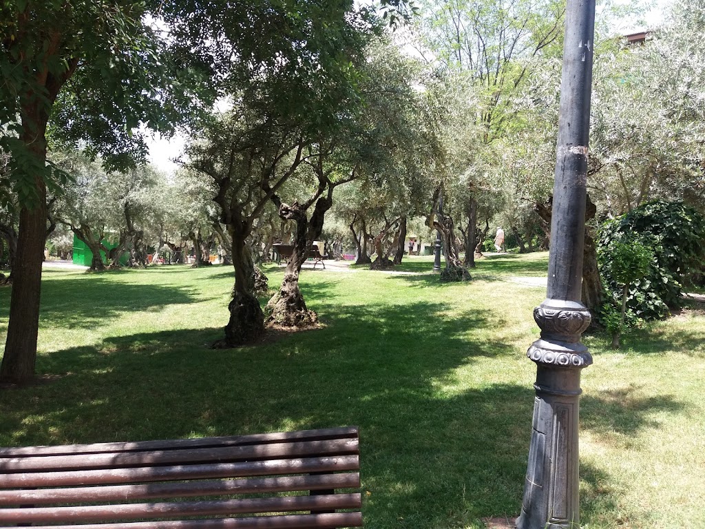 Parque de los Olivos