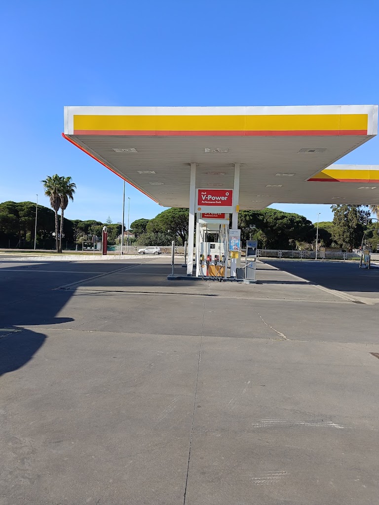 Shell Caballo Blanco — Mas recientes