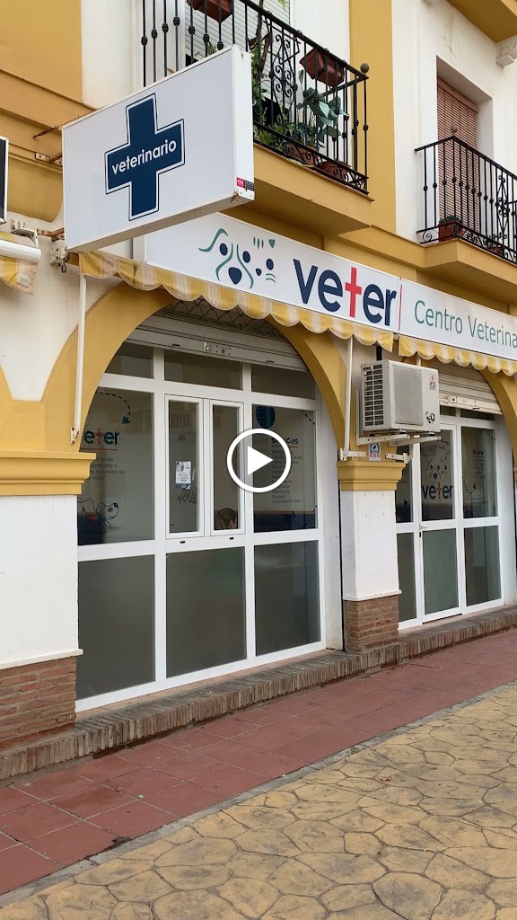 Veter Centro Veterinario — Videos