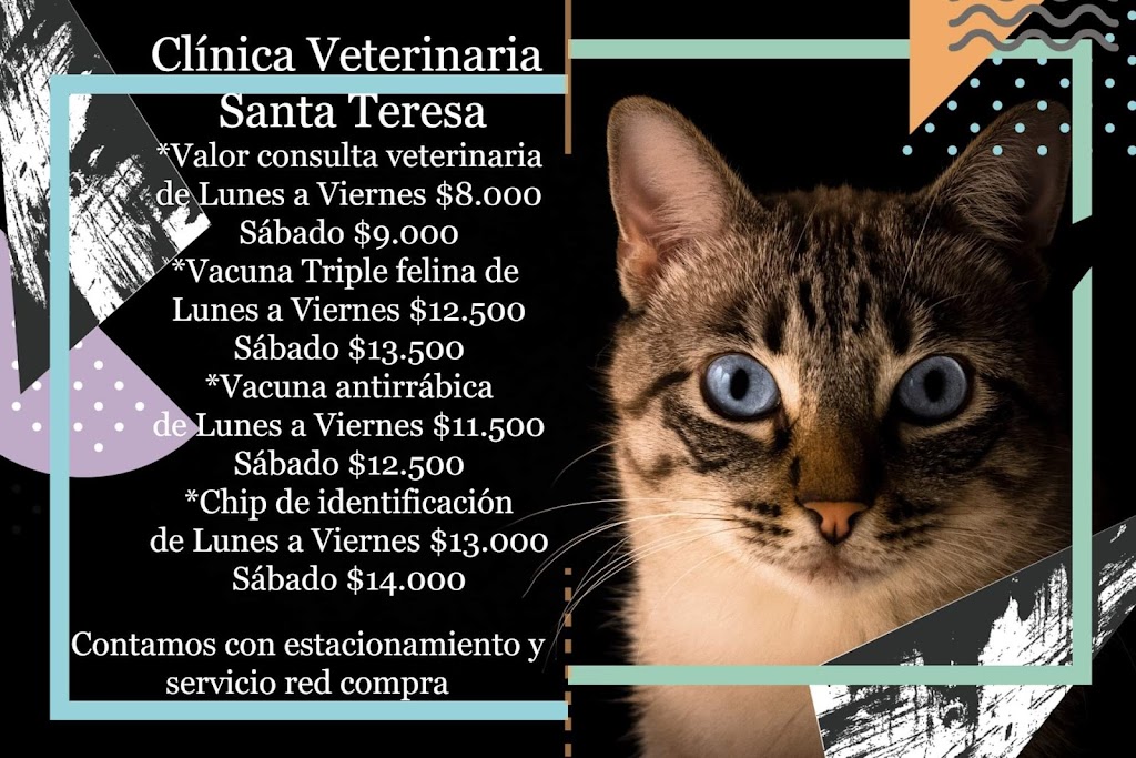Gato