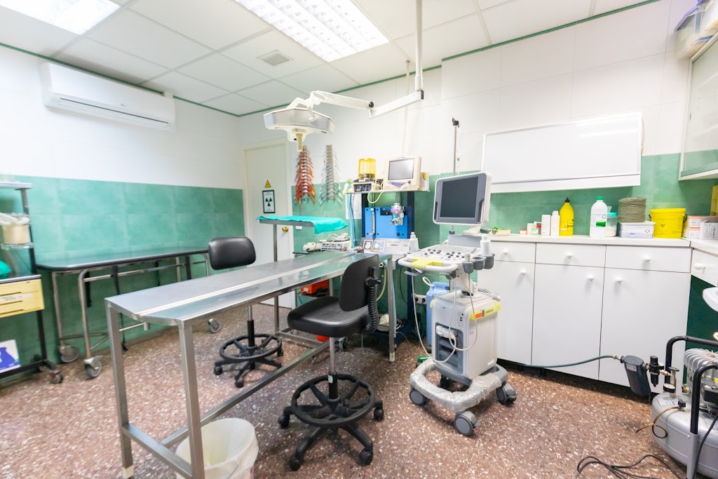 Centre Veterinari de l'Hospitalet — Del propietario