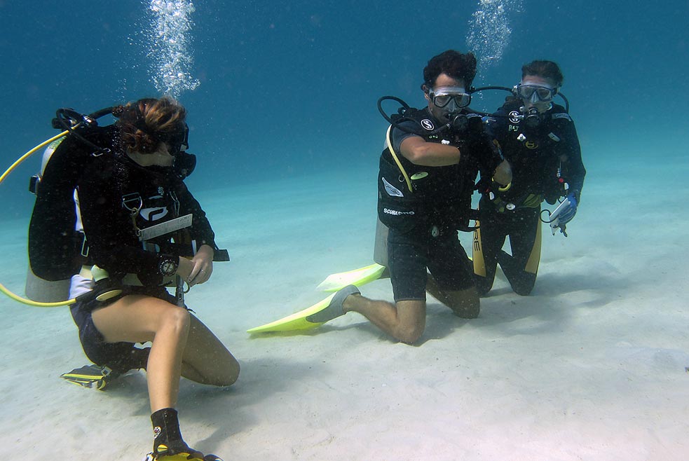 BUCEO ESTEPONA - Diving Center