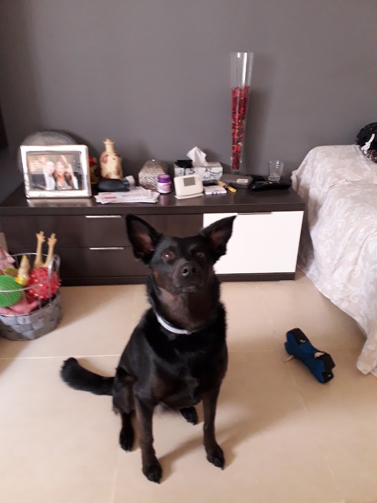 Productes de la Terra